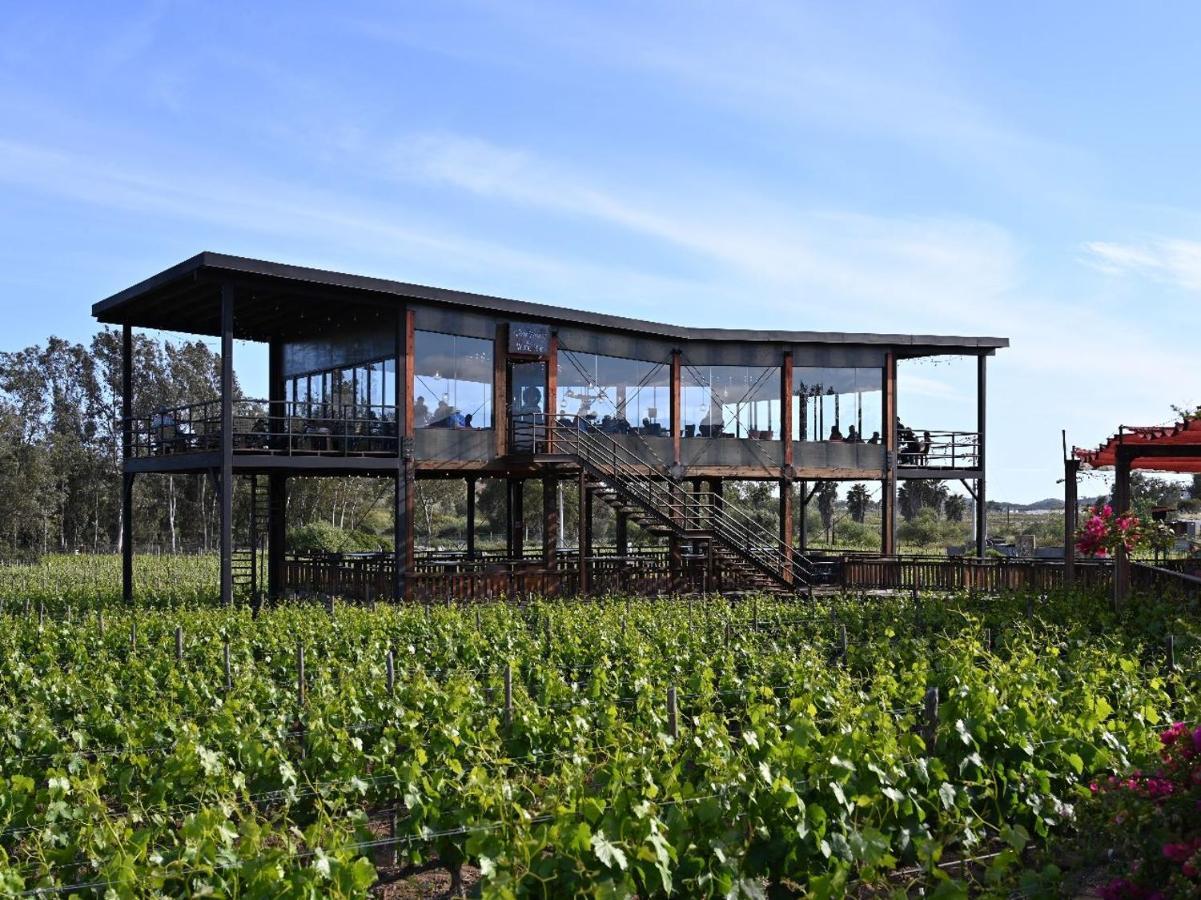 Don Tomas Vinedo Cabanas 장크트 고아르스하우젠 외부 사진