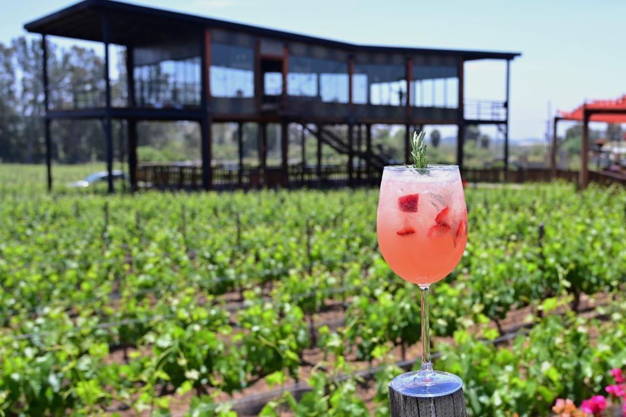 Don Tomas Vinedo Cabanas 장크트 고아르스하우젠 외부 사진