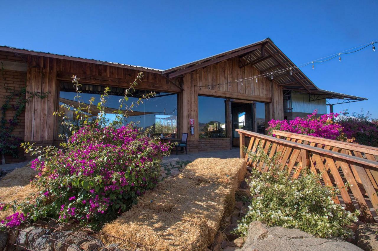 Don Tomas Vinedo Cabanas 장크트 고아르스하우젠 외부 사진